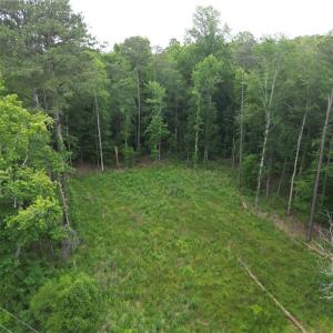 Cleared area