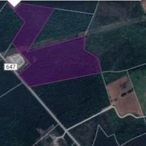 Photo #1 of 406 Copeland Road, Suffolk, Virginia 33.3 acres