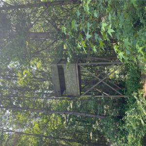 Photo #4 of 406 Copeland Road, Suffolk, Virginia 33.3 acres