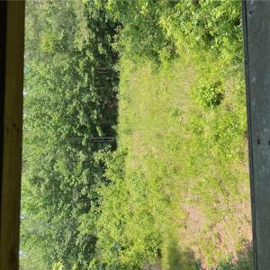 Photo #5 of 406 Copeland Road, Suffolk, Virginia 33.3 acres