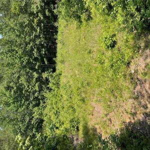 Photo #6 of 406 Copeland Road, Suffolk, Virginia 33.3 acres