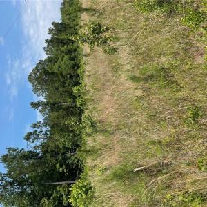 Photo #9 of 406 Copeland Road, Suffolk, Virginia 33.3 acres