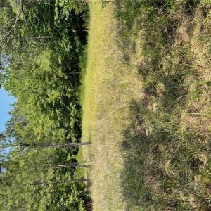 Photo #10 of 406 Copeland Road, Suffolk, Virginia 33.3 acres