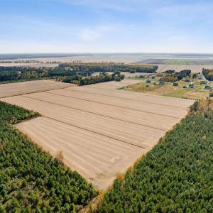 Photo #6 of 4904 Ballahack Road, Chesapeake, Virginia 39.9 acres