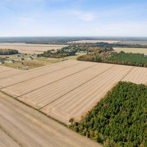 Photo #4 of 4906 Ballahack Road, Chesapeake, Virginia 78.0 acres