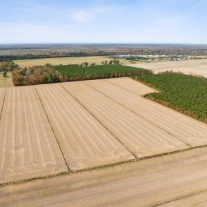 Photo #5 of 4906 Ballahack Road, Chesapeake, Virginia 78.0 acres
