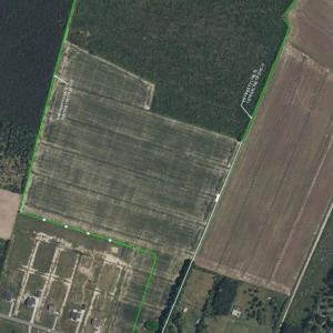 Photo #8 of 4906 Ballahack Road, Chesapeake, Virginia 78.0 acres