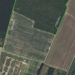 Photo #9 of 4906 Ballahack Road, Chesapeake, Virginia 78.0 acres