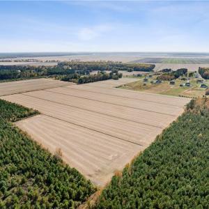 Photo #3 of 4908 Ballahack Road, Chesapeake, Virginia 47.4 acres