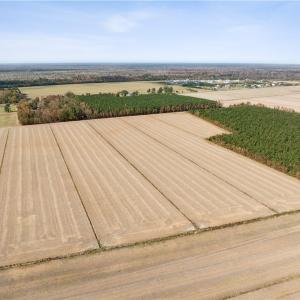 Photo #6 of 4908 Ballahack Road, Chesapeake, Virginia 47.4 acres