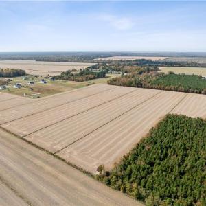 Photo #7 of 4908 Ballahack Road, Chesapeake, Virginia 47.4 acres