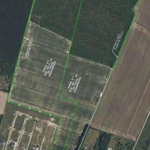 Photo #8 of 4908 Ballahack Road, Chesapeake, Virginia 47.4 acres
