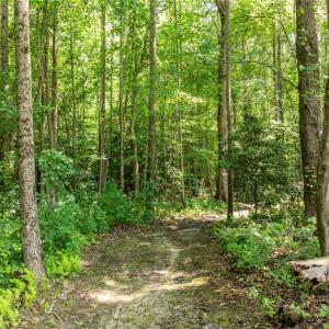 Photo #11 of 34AC Windsor Road, Dutton, Virginia 34.1 acres