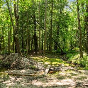 Photo #12 of 34AC Windsor Road, Dutton, Virginia 34.1 acres