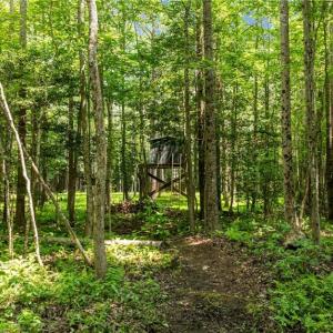 Photo #15 of 34AC Windsor Road, Dutton, Virginia 34.1 acres
