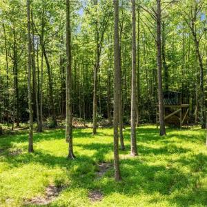 Photo #16 of 34AC Windsor Road, Dutton, Virginia 34.1 acres