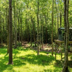 Raised hunting blind