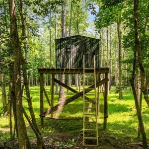 Raised hunting blind