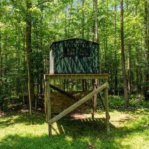 Raised hunting blind