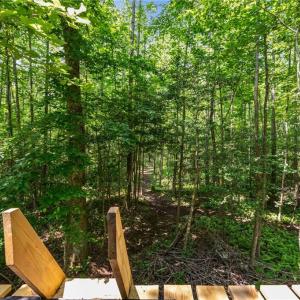 View from the raised hunting blind