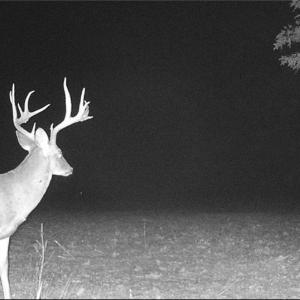 Photo #34 of 34AC Windsor Road, Dutton, Virginia 34.1 acres
