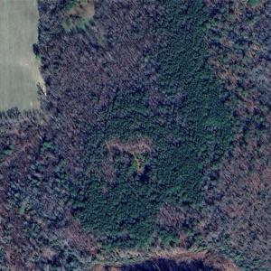 Photo #1 of 280 VESSELLS Lane, Aylett, Virginia 38.0 acres