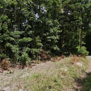 Photo #4 of 280 VESSELLS Lane, Aylett, Virginia 38.0 acres