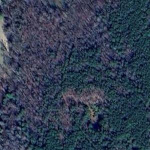 Photo #3 of 280 Vessels Lane, Aylett, Virginia 38.0 acres
