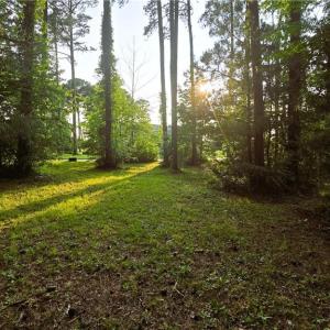 The Lot Facing the Street