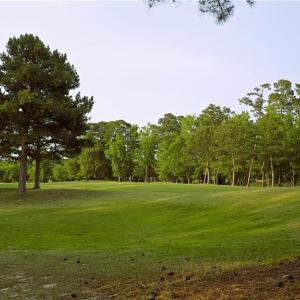 The view of the 6th hole from the back of the lot