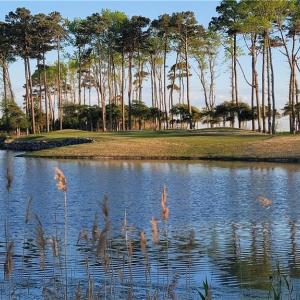 The Iconic 3rd Hole of the Arnold Palmer Course which is across the street from the lot