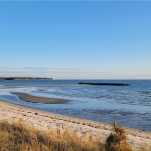 The beach