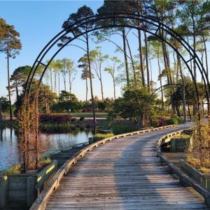 Bridge feature on the course near the lot