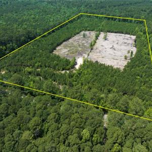 Photo #13 of 20ac Ridge Road, Cobbs Creek, Virginia 20.0 acres
