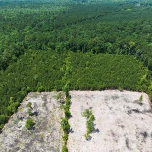 Photo #15 of 20ac Ridge Road, Cobbs Creek, Virginia 20.0 acres