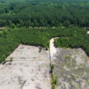 Photo #16 of 20ac Ridge Road, Cobbs Creek, Virginia 20.0 acres