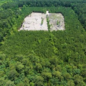 Photo #17 of 20ac Ridge Road, Cobbs Creek, Virginia 20.0 acres