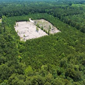 Photo #18 of 20ac Ridge Road, Cobbs Creek, Virginia 20.0 acres