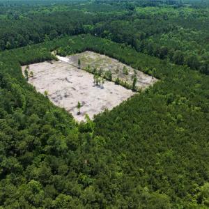 Photo #19 of 20ac Ridge Road, Cobbs Creek, Virginia 20.0 acres