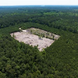 Photo #20 of 20ac Ridge Road, Cobbs Creek, Virginia 20.0 acres