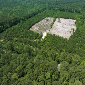 Photo #3 of 20ac Ridge Road, Cobbs Creek, Virginia 20.0 acres