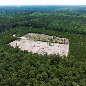Photo #21 of 20ac Ridge Road, Cobbs Creek, Virginia 20.0 acres