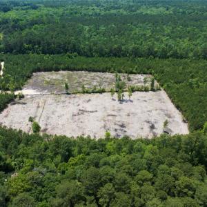 Photo #22 of 20ac Ridge Road, Cobbs Creek, Virginia 20.0 acres