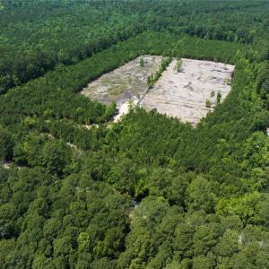 Photo #25 of 20ac Ridge Road, Cobbs Creek, Virginia 20.0 acres