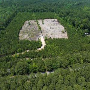 Photo #7 of 20ac Ridge Road, Cobbs Creek, Virginia 20.0 acres
