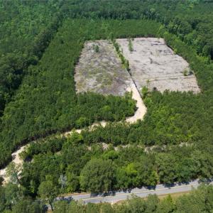 Photo #8 of 20ac Ridge Road, Cobbs Creek, Virginia 20.0 acres