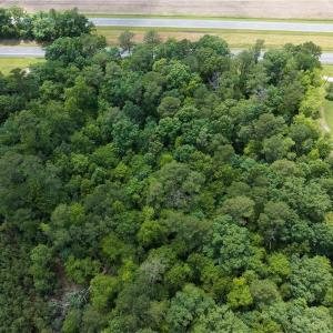 Photo #12 of 5.1+AC Tidewater Trail, Church View, Virginia 6.2 acres