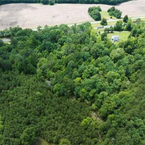 Photo #10 of 5.1+AC Tidewater Trail, Church View, Virginia 6.2 acres