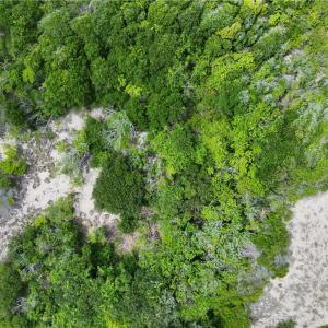 Photo #14 of 1621 Sandpiper Road, Corolla, North Carolina 0.3 acres