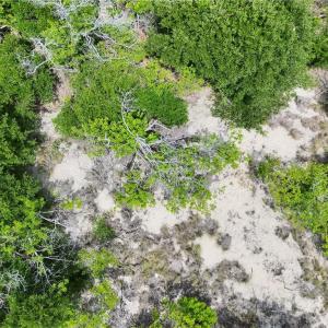 Photo #17 of 1621 Sandpiper Road, Corolla, North Carolina 0.3 acres